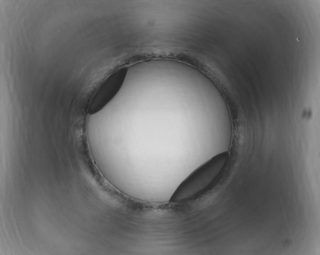 X0000111220593200907021002