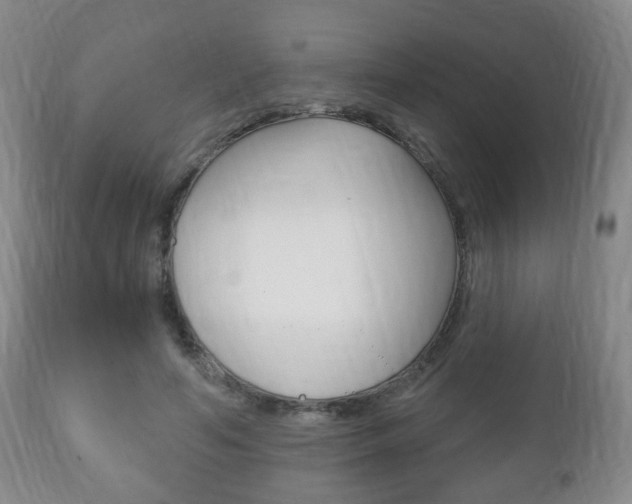 X0000111220594200907021002