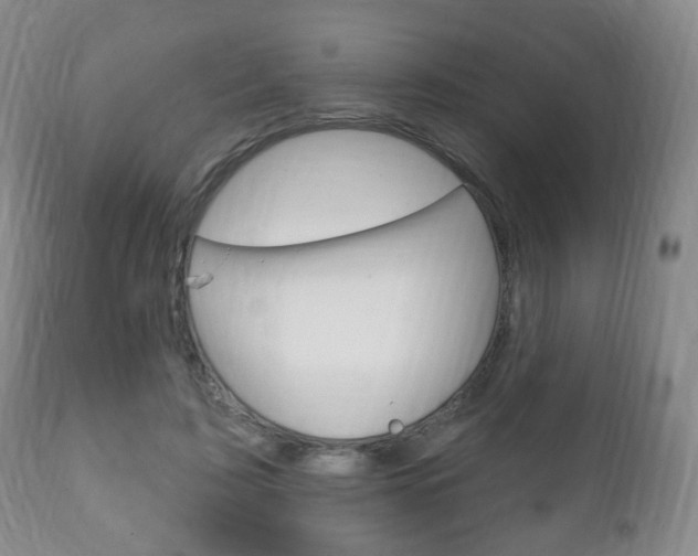 X0000111220595200907021002