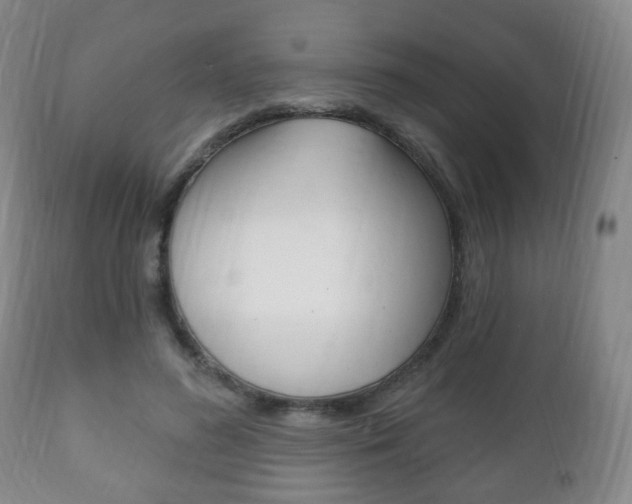 X0000111220596200907021002