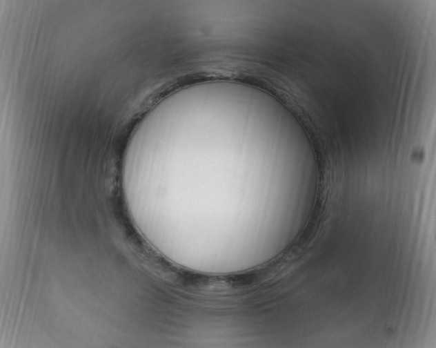 X0000111220600200907021002