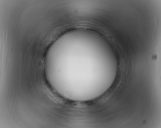 X0000111220601200907021002