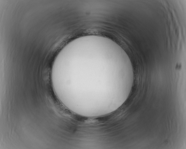 X0000111220603200907021002
