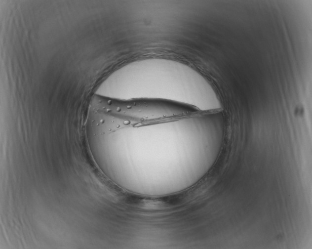 X0000111220605200907021002