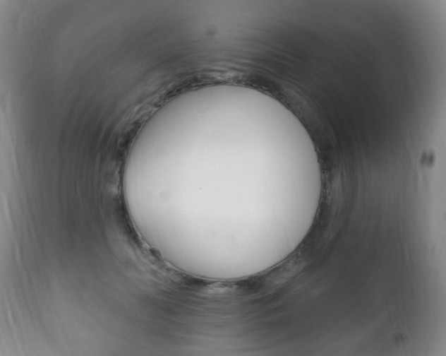 X0000111220606200907021002