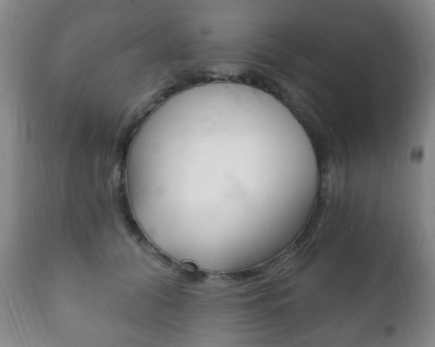 X0000111220608200907021002
