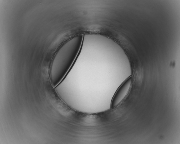 X0000111220609200907021002