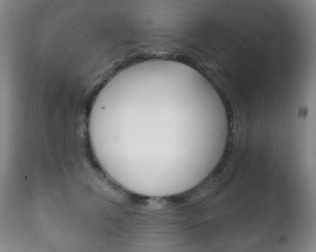 X0000111220612200907021002