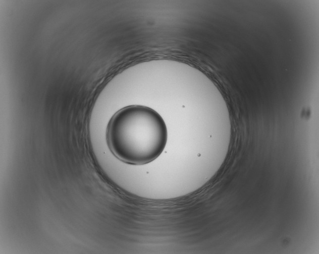 X0000111220613200907021002