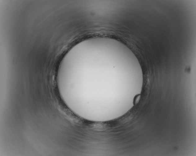 X0000111220615200907021002