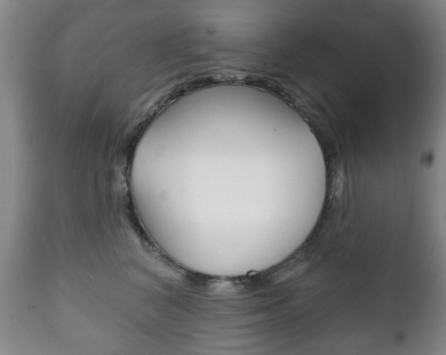 X0000111220616200907021002