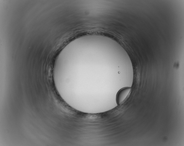 X0000111220619200907021002