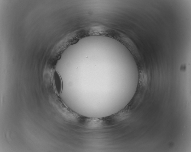 X0000111220621200907021002