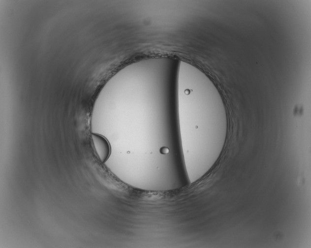 X0000111220624200907021002