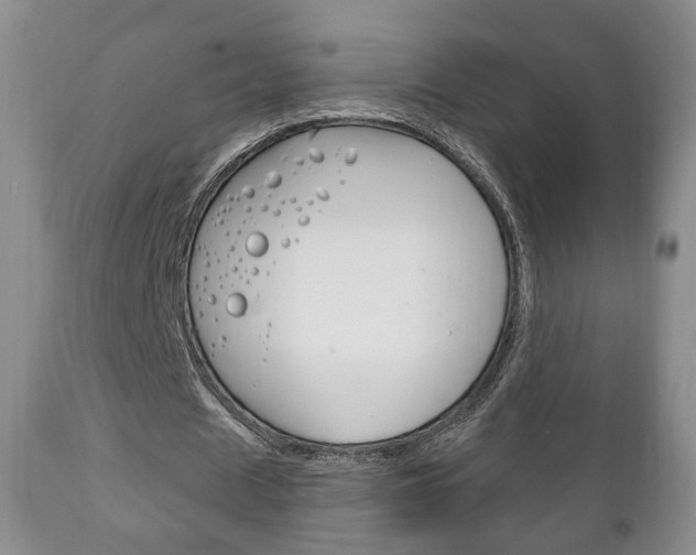 X0000111220625200907021001