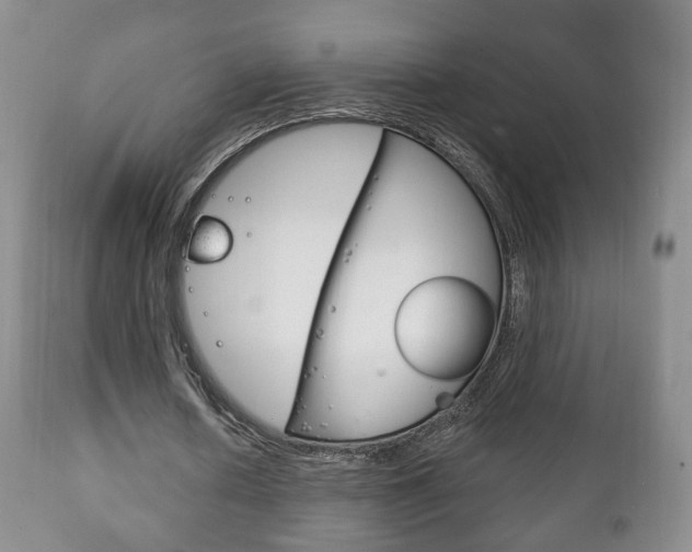 X0000111220626200907021001