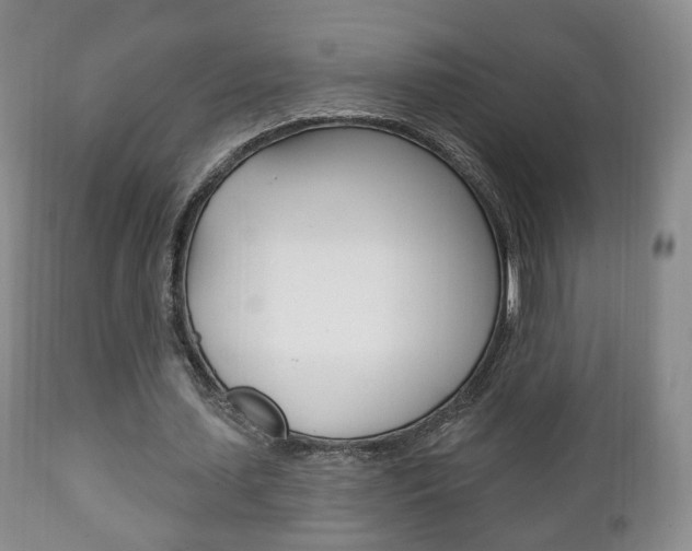 X0000111220627200907021001