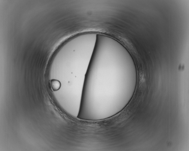 X0000111220628200907021001