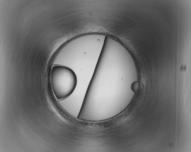 X0000111220630200907021001