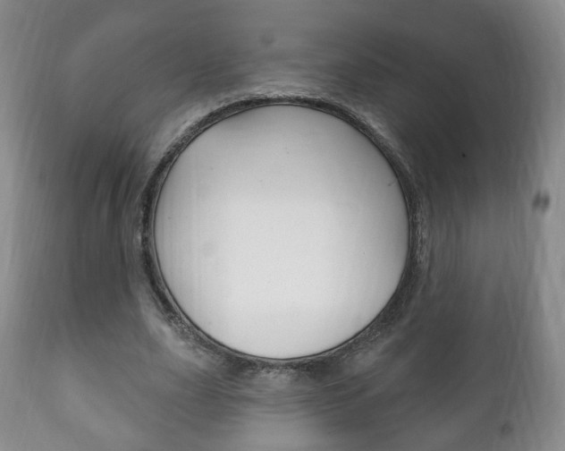 X0000111220631200907021001