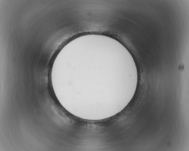 X0000111220632200907021001