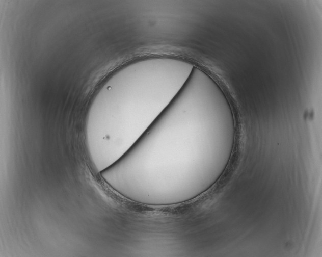 X0000111220633200907021001