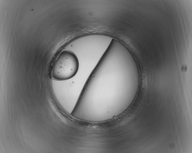 X0000111220634200907021001