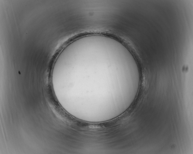 X0000111220636200907021001