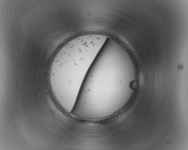 X0000111220637200907021001
