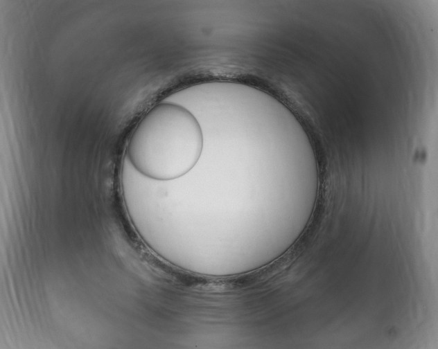 X0000111220639200907021001