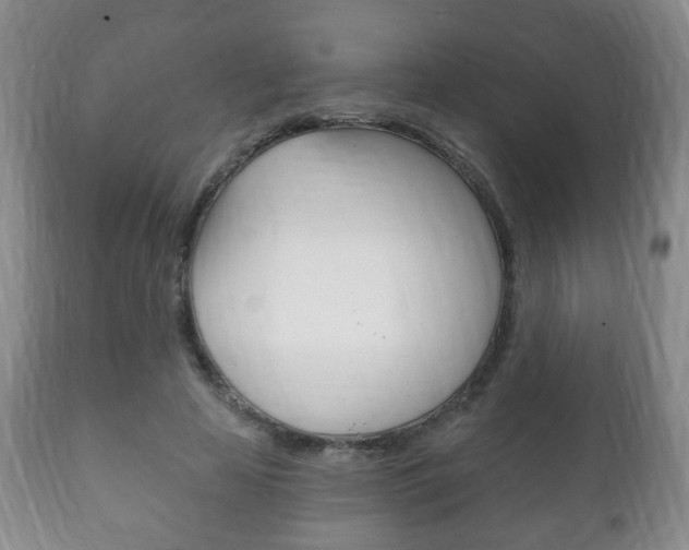 X0000111220641200907021001