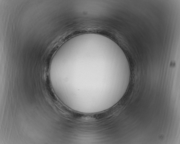 X0000111220644200907021001