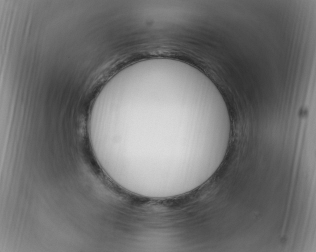 X0000111220648200907021001