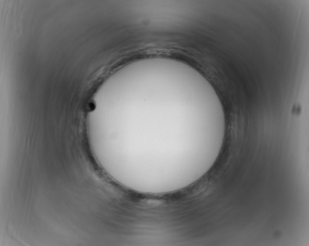 X0000111220649200907021001