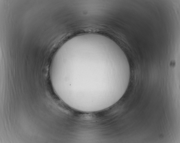 X0000111220652200907021001