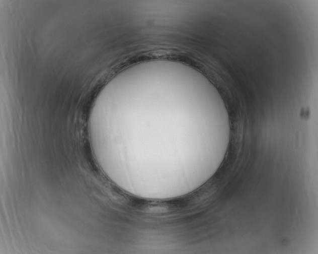 X0000111220653200907021001