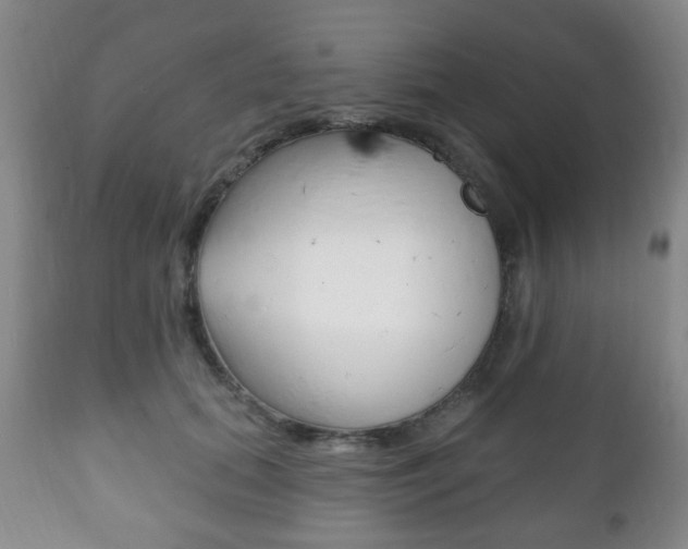 X0000111220655200907021001