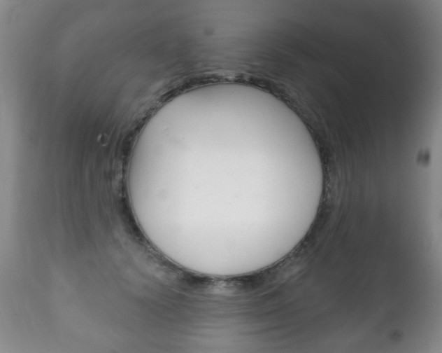 X0000111220656200907021001
