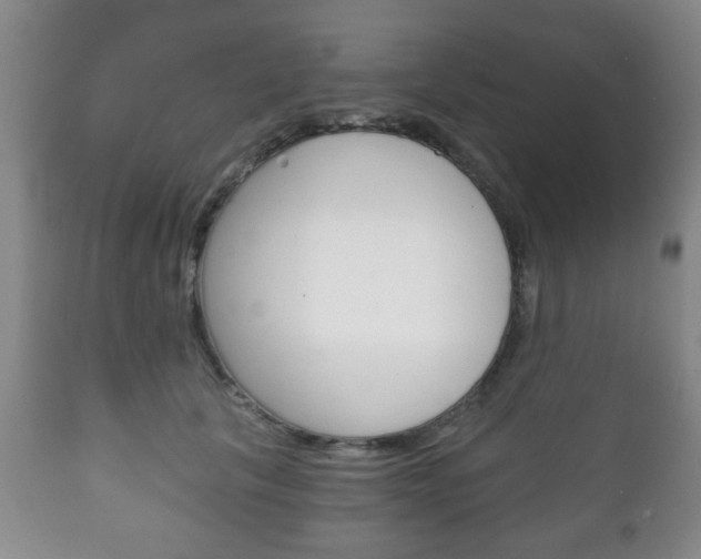 X0000111220657200907021001
