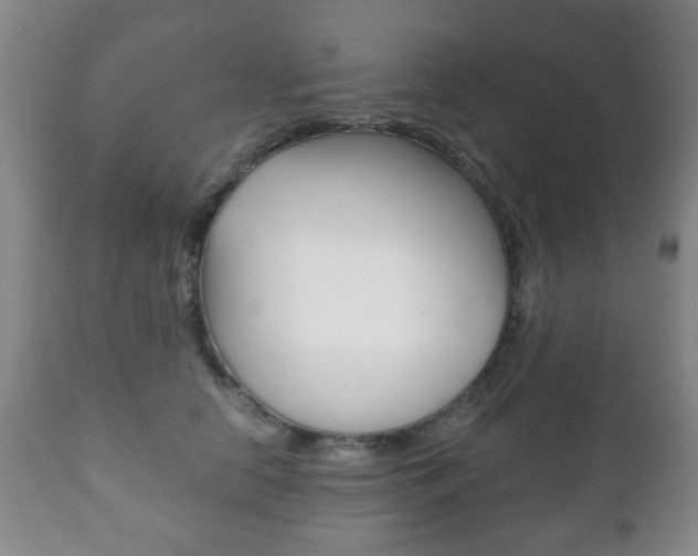 X0000111220658200907021001