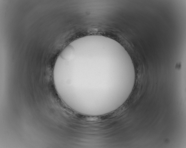 X0000111220659200907021001