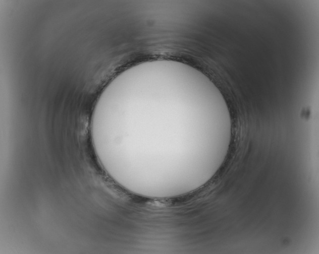X0000111220660200907021001