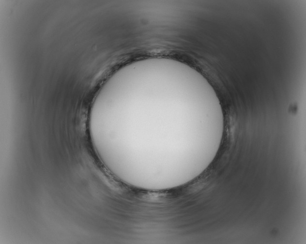 X0000111220664200907021001