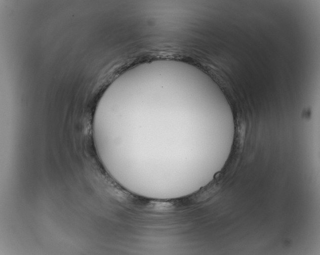 X0000111220665200907021001