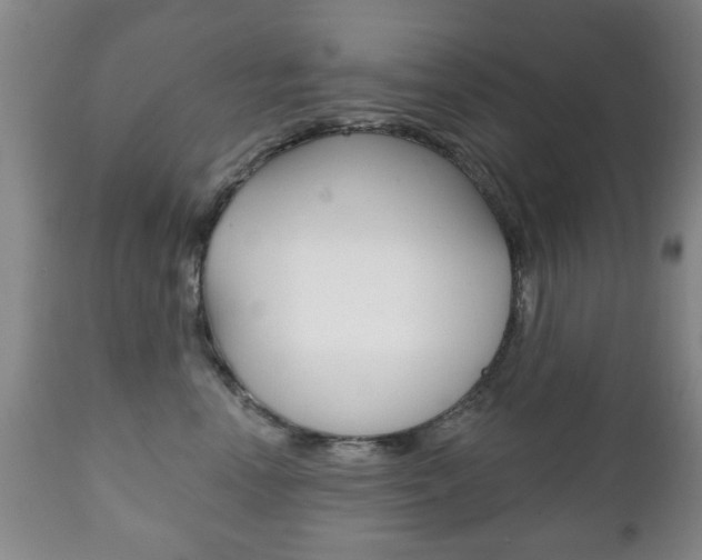 X0000111220666200907021001
