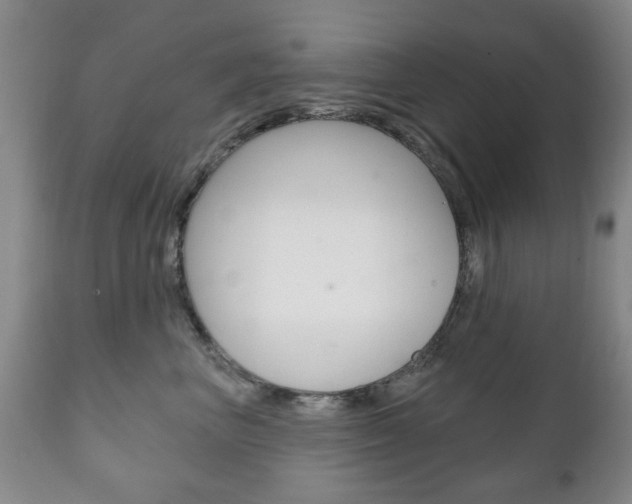 X0000111220667200907021001