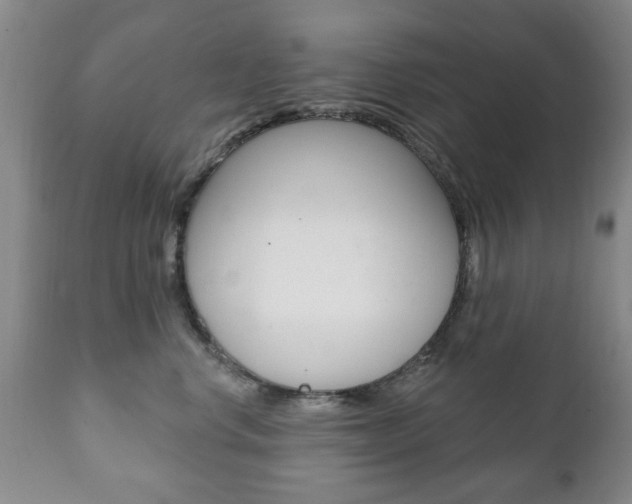 X0000111220668200907021001