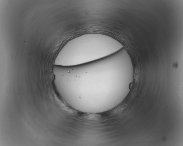 X0000111220670200907021001
