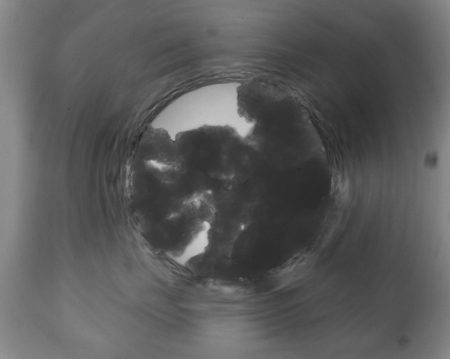 X0000111220671200907021001