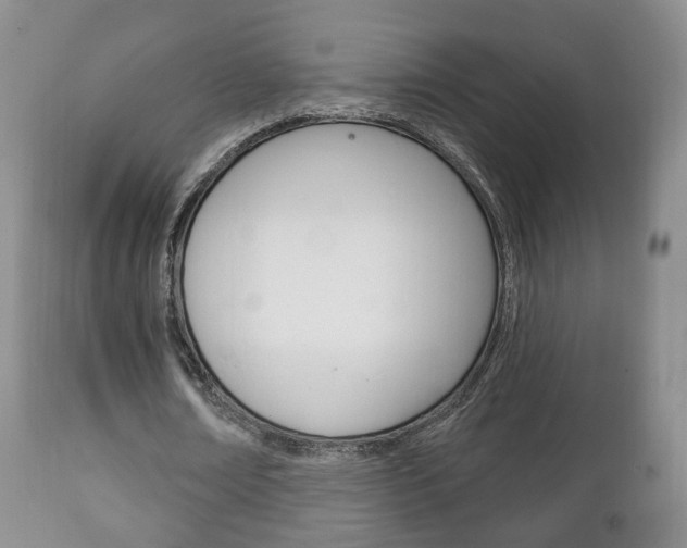 X0000111220674200907021001